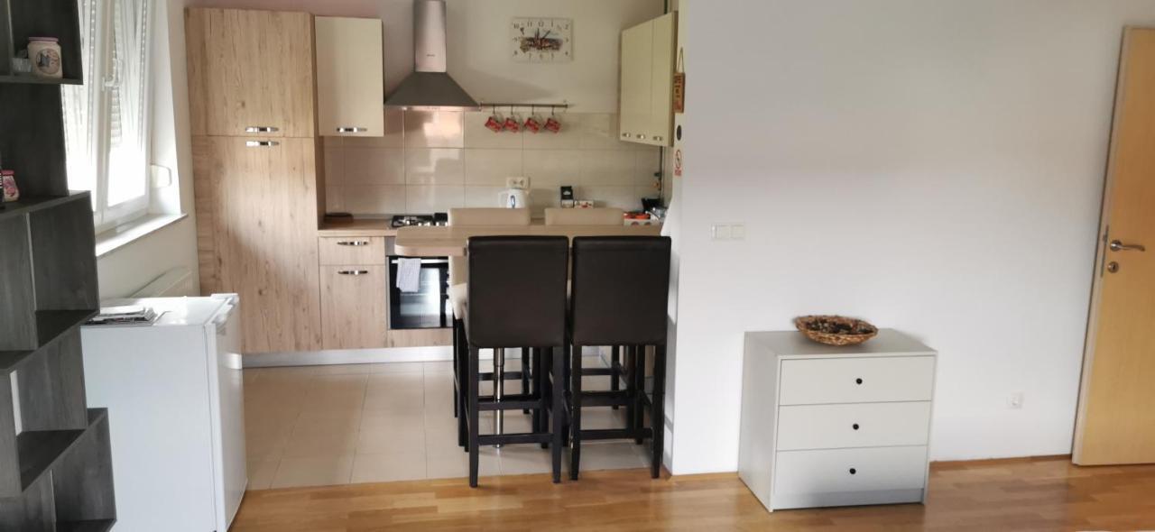Apartment Daphnia Zagrzeb Zewnętrze zdjęcie