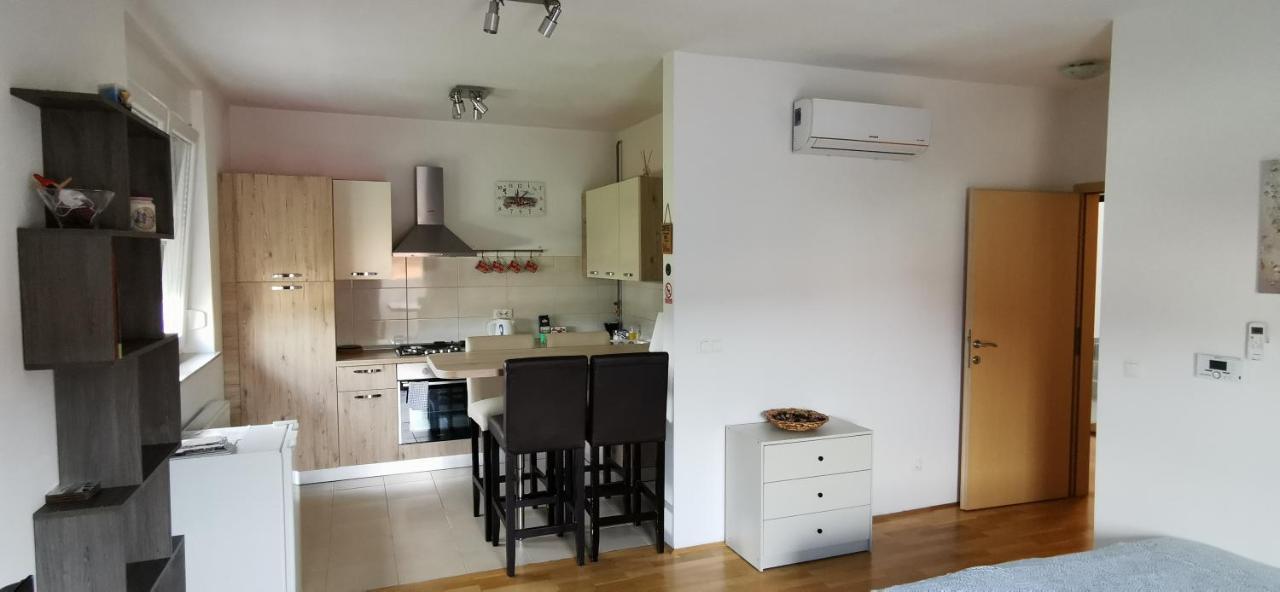 Apartment Daphnia Zagrzeb Zewnętrze zdjęcie