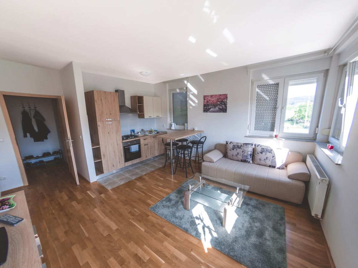 Apartment Daphnia Zagrzeb Zewnętrze zdjęcie